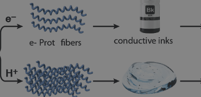 Biomolecule-nanomaterial hybrids technological