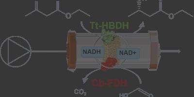 Application of heterogeneous  bio(hybrid) catalysts for chemical manufacturing using renewable raw materials as starting point