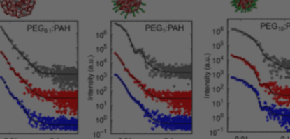 Physical chemistry of Polyelectrolytes