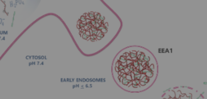 Polyelectrolyte synthesis and self-assembly in biomedical field