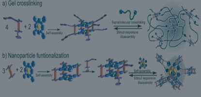 Metallacage–material hybrids